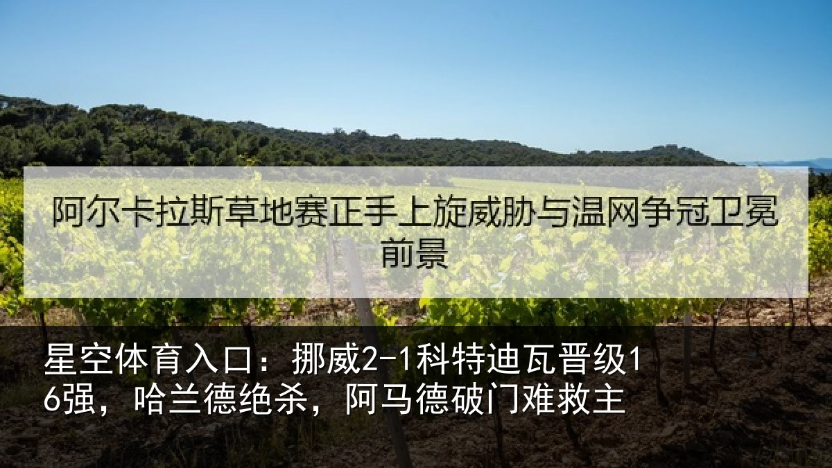 星空体育入口：挪威2-1科特迪瓦晋级16强，哈兰德绝杀，阿马德破门难救主