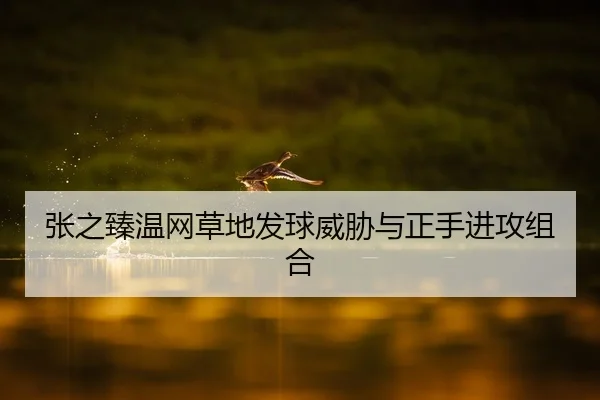 张之臻温网草地发球威胁与正手进攻组合