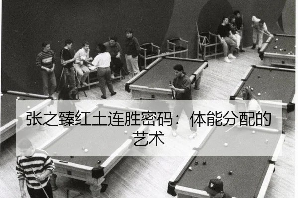 zhang-zhi-zhen-hong-tu-lian-sheng-mi-ma-ti-neng-fen-pei-de-yi-shu-3-857.jpg